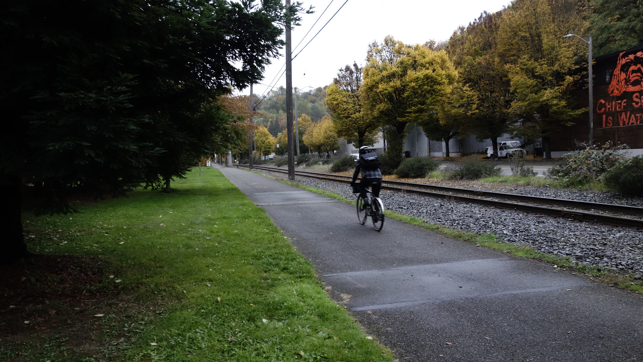 Picture of bike rider on the Duwamish Trail between railroad track and park